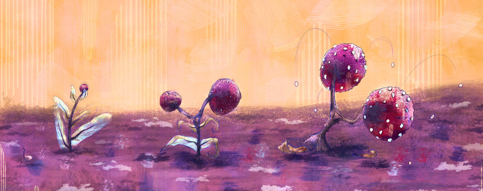 Personal Work: Popping Berries, Life Stages