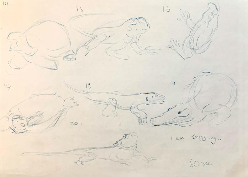 Animal Life Drawing (3)