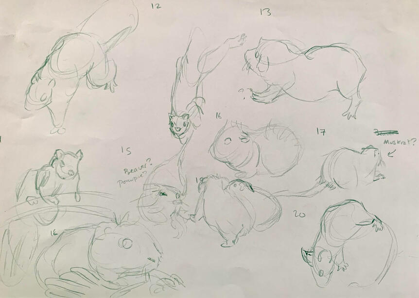 Animal Life Drawing (2)